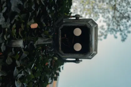 SpinTropolis Kazino Mobilā lietotne